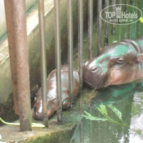 фото из отзыва ID 592810