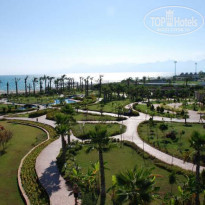 фото из отзыва ID 59220