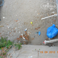 фото из отзыва ID 593077