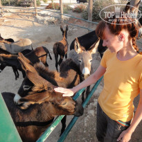 фото из отзыва ID 593192