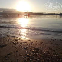 фото из отзыва ID 593253