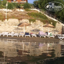 фото из отзыва ID 593253