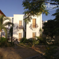 фото из отзыва ID 593253