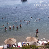 фото из отзыва ID 593253