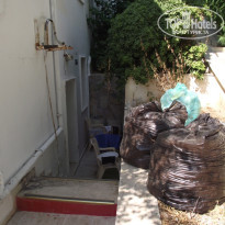 фото из отзыва ID 593253