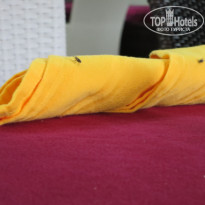 фото из отзыва ID 593478