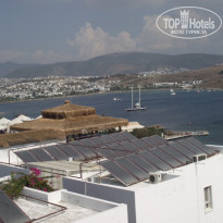 фото из отзыва ID 593253