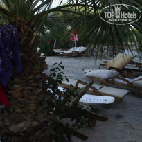 фото из отзыва ID 593253