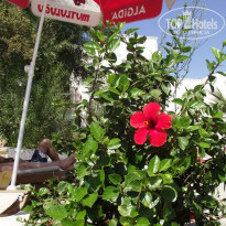 фото из отзыва ID 593253