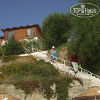 фото из отзыва ID 593253