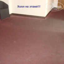 фото из отзыва ID 593681