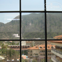 фото из отзыва ID 593300