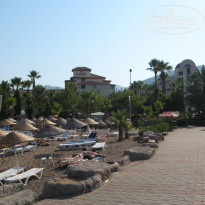 фото из отзыва ID 593300