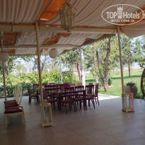 фото из отзыва ID 593908