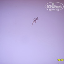 фото из отзыва ID 594013