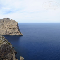 фото из отзыва ID 594497