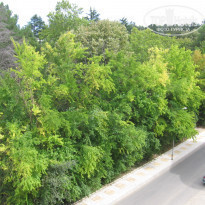 фото из отзыва ID 595103