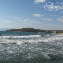 фото из отзыва ID 595227