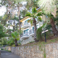 фото из отзыва ID 595240