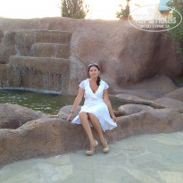 фото из отзыва ID 595386