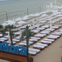 фото из отзыва ID 595392