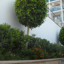 фото из отзыва ID 595482