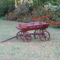 фото из отзыва ID 595482