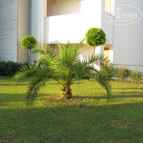 фото из отзыва ID 595482