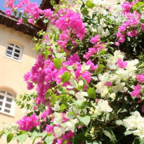 фото из отзыва ID 59504