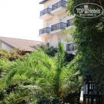 фото из отзыва ID 59504