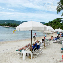 фото из отзыва ID 596290