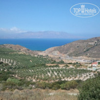 фото из отзыва ID 596369