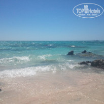 фото из отзыва ID 596369