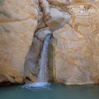 фото из отзыва ID 596597