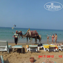 фото из отзыва ID 596011