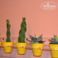 фото из отзыва ID 596929