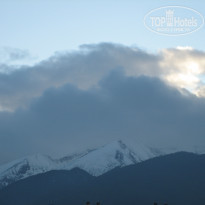 фото из отзыва ID 596945