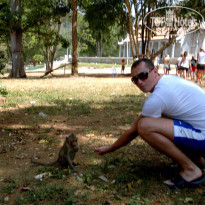 фото из отзыва ID 596052