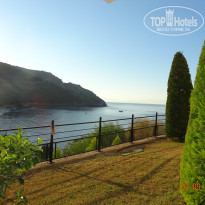 фото из отзыва ID 597096