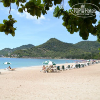 фото из отзыва ID 597011