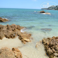 фото из отзыва ID 597011