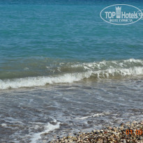 фото из отзыва ID 597246