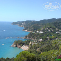 фото из отзыва ID 597298