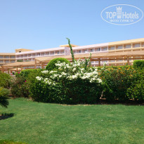 фото из отзыва ID 597343