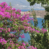 фото из отзыва ID 597426