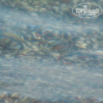 фото из отзыва ID 597754