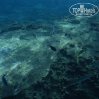 фото из отзыва ID 597936