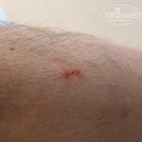 фото из отзыва ID 597936