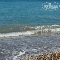 фото из отзыва ID 597246