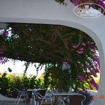 фото из отзыва ID 597246